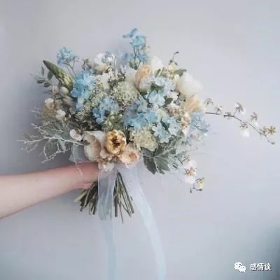 苍之纪元华为版下载